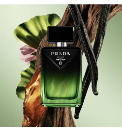 Paradigme Le Parfum - Parfum Boisé Ambré Longue Tenue Paradigme Le Parfum - Parfum Boisé Ambré Longue Tenue